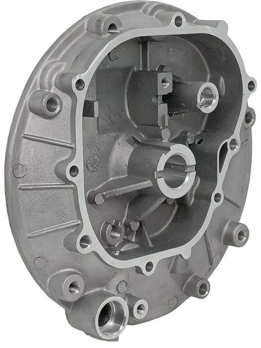 Крышка картера двигателя Y100V газонокосилки Carver LMG-2042HM, LMG-2042HM Hobby