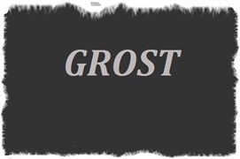 Автомат УЗО 20А 220V затирочной машины GROST ZME600 106841